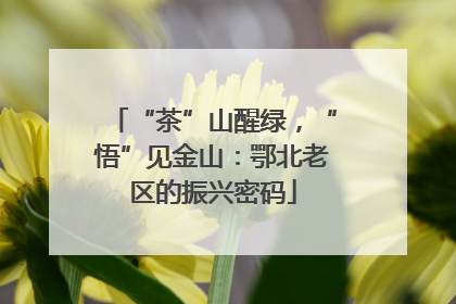 “茶”山醒绿，“悟”见金山：鄂北老区的振兴密码