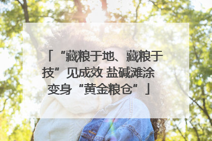 “藏粮于地、藏粮于技”见成效 盐碱滩涂变身“黄金粮仓”