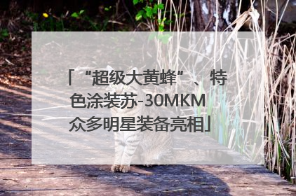 “超级大黄蜂”、特色涂装苏-30MKM 众多明星装备亮相