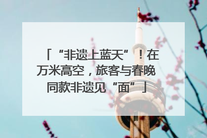 “非遗上蓝天”！在万米高空，旅客与春晚同款非遗见“面”