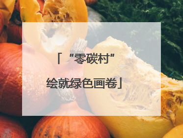 “零碳村” 绘就绿色画卷