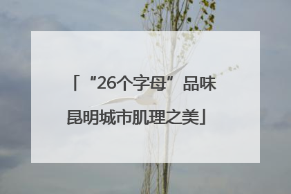 “26个字母”品味昆明城市肌理之美