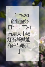 “520 企业服务日”：三湘南湖大市场灯石城赋能商户与职工