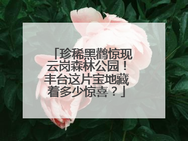 珍稀黑鹳惊现云岗森林公园！丰台这片宝地藏着多少惊喜？