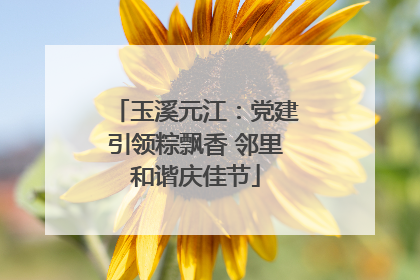 玉溪元江：党建引领粽飘香 邻里和谐庆佳节