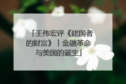 王伟宏评《建国者的财富》︱金融革命与美国的诞生