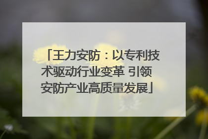 王力安防：以专利技术驱动行业变革 引领安防产业高质量发展