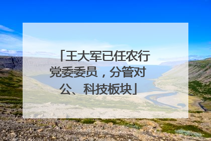 王大军已任农行党委委员，分管对公、科技板块