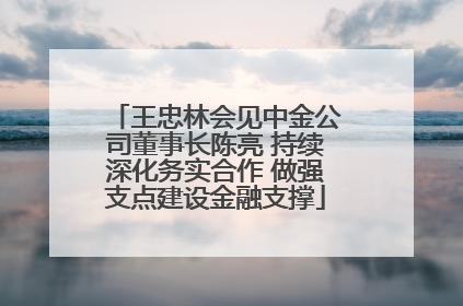 王忠林会见中金公司董事长陈亮 持续深化务实合作 做强支点建设金融支撑