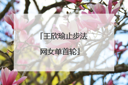 王欣瑜止步法网女单首轮