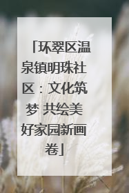环翠区温泉镇明珠社区：文化筑梦 共绘美好家园新画卷