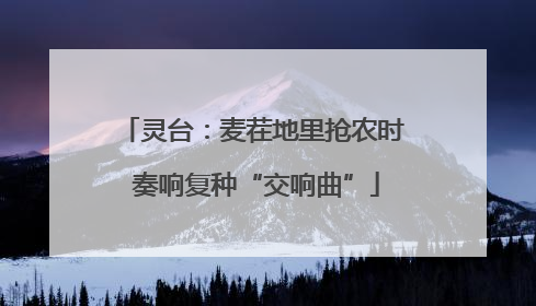灵台：麦茬地里抢农时 奏响复种“交响曲”
