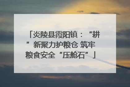 炎陵县霞阳镇：“耕”新聚力护粮仓 筑牢粮食安全“压舱石”
