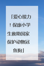 爱心接力！保康小学生救助国家保护动物冠鱼狗