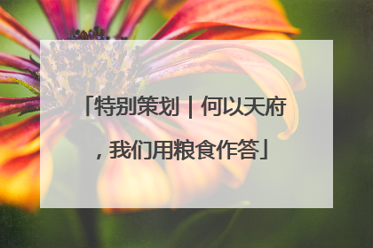 特别策划｜何以天府，我们用粮食作答