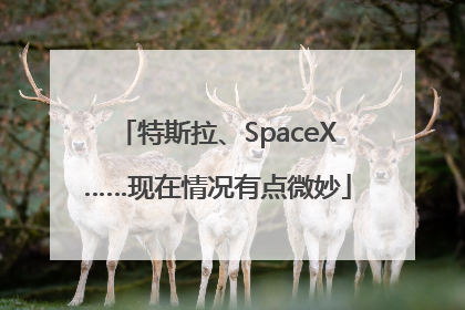 特斯拉、SpaceX……现在情况有点微妙