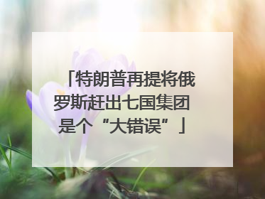 特朗普再提将俄罗斯赶出七国集团是个“大错误”