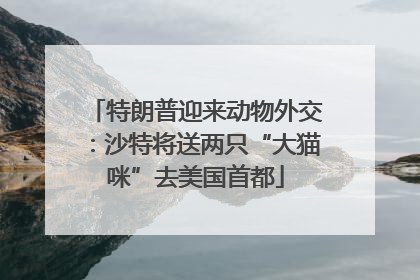 特朗普迎来动物外交：沙特将送两只“大猫咪”去美国首都