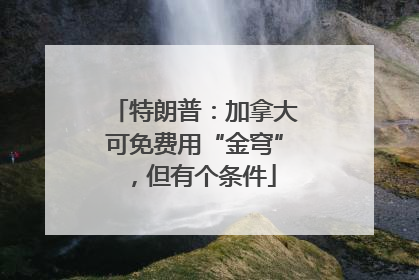 特朗普：加拿大可免费用“金穹”，但有个条件