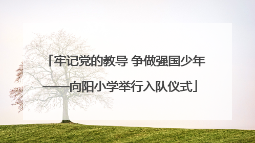 牢记党的教导 争做强国少年——向阳小学举行入队仪式