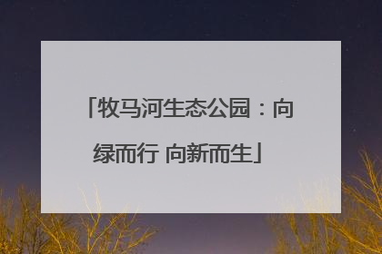 牧马河生态公园：向绿而行 向新而生