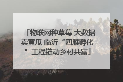物联网种草莓 大数据卖黄瓜 临沂“四雁孵化”工程链动乡村共富