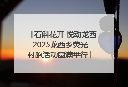 石斛花开 悦动龙西 2025龙西乡荧光村跑活动圆满举行