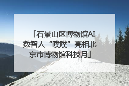石景山区博物馆AI数智人“噗噗”亮相北京市博物馆科技月