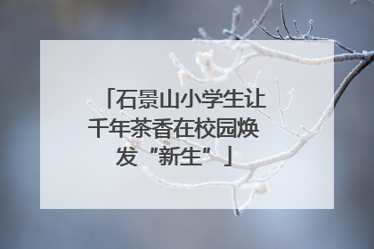 石景山小学生让千年茶香在校园焕发“新生”