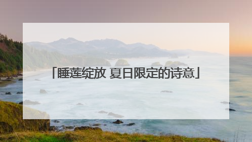 睡莲绽放 夏日限定的诗意