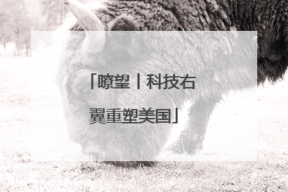 瞭望丨科技右翼重塑美国