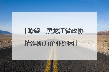 瞭望｜黑龙江省政协精准助力企业纾困