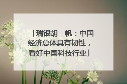 瑞银胡一帆：中国经济总体具有韧性，看好中国科技行业