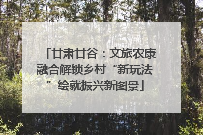 甘肃甘谷：文旅农康融合解锁乡村“新玩法”绘就振兴新图景