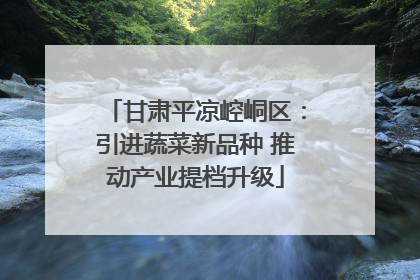 甘肃平凉崆峒区：引进蔬菜新品种 推动产业提档升级