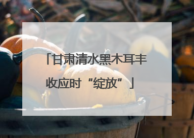 甘肃清水黑木耳丰收应时“绽放”