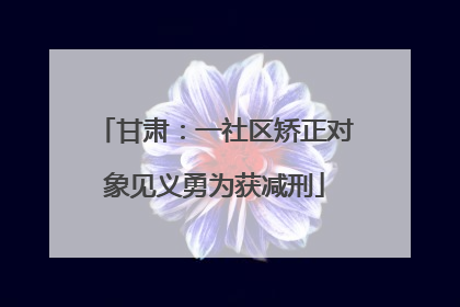 甘肃：一社区矫正对象见义勇为获减刑