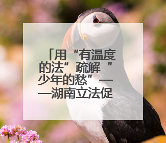 用“有温度的法”疏解“少年的愁”——湖南立法促进学生心理健康