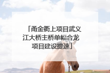 甬金衢上项目武义江大桥主桥单幅合龙 项目建设提速