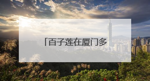 百子莲在厦门多地绽放，为盛夏增添清凉与诗意