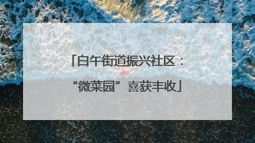 白午街道振兴社区：“微菜园”喜获丰收