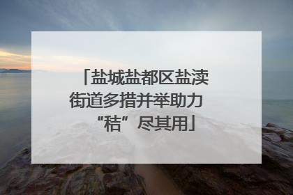 盐城盐都区盐渎街道多措并举助力“秸”尽其用