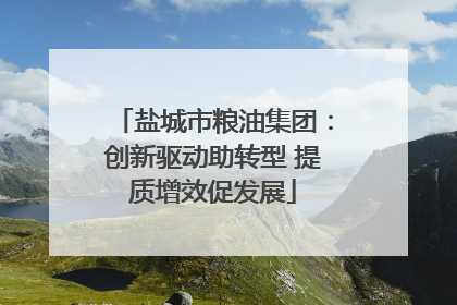盐城市粮油集团：创新驱动助转型 提质增效促发展