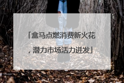 盒马点燃消费新火花，潜力市场活力迸发