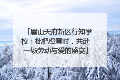 眉山天府新区行知学校：枇杷橙黄时，共赴一场劳动与爱的盛宴