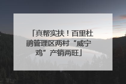 真帮实扶！百里杜鹃管理区两村“威宁鸡”产销两旺