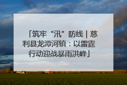 筑牢“汛”防线｜慈利县龙潭河镇：以雷霆行动迎战暴雨洪峰