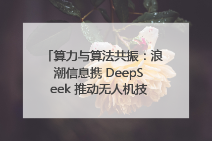 算力与算法共振：浪潮信息携 DeepSeek 推动无人机技术在舟山落地