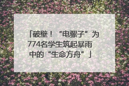 破壁！“电骡子”为774名学生筑起暴雨中的“生命方舟”