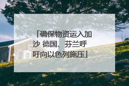 确保物资运入加沙 德国、芬兰呼吁向以色列施压